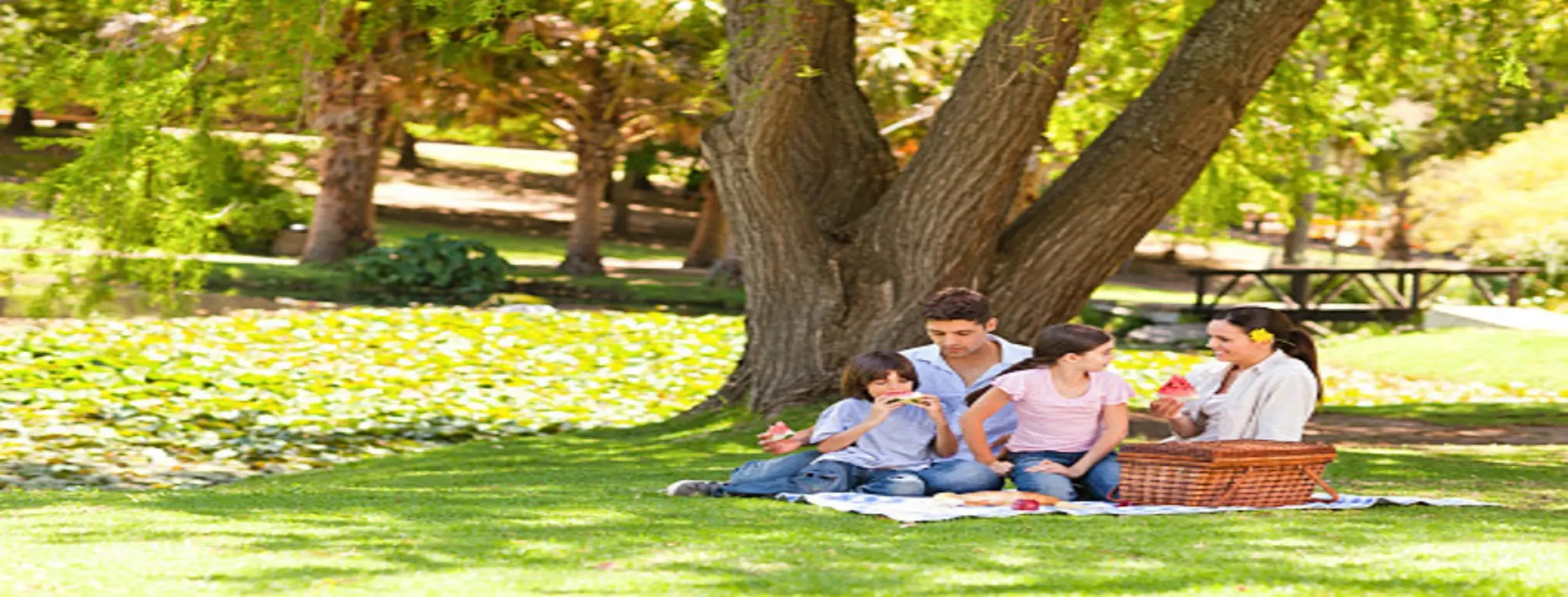 Image for Park Picnicking
